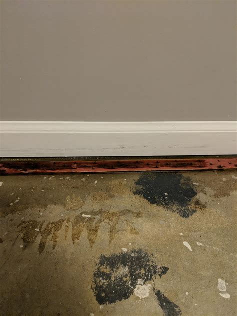 Water leaking under baseboards on exterior wall after rain